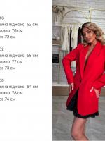 Вільний жіночий піджак RED-A179T550