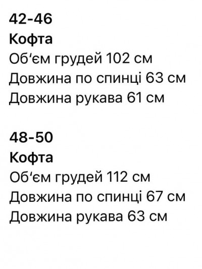 Худі флісовий Худі флісовий